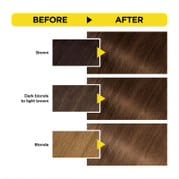 ARGAN  HAIR COLORING OIL KIT / Dark Brown 3.0