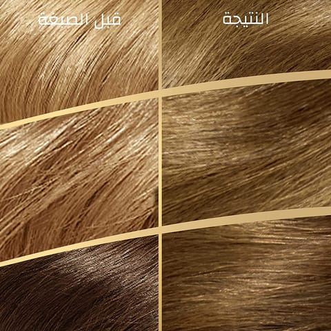 ARGAN  HAIR COLORING OIL KIT / light Brown 5.0