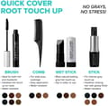 Quick Cover Brush In Color Touch - BGC05 Natural Dark Brown