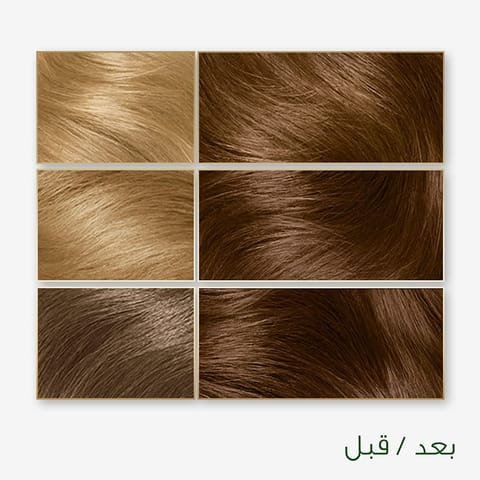 ARGAN  HAIR COLORING OIL KIT / BLACK 1.0