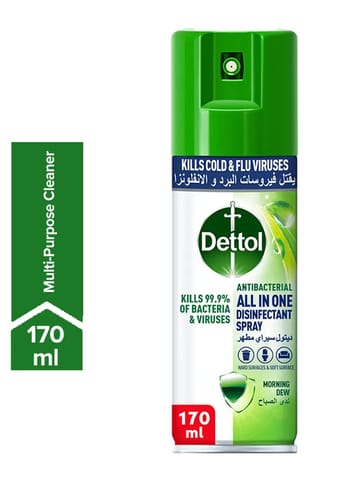 Dettol Morning Dew Antibacterial All in One Disinfectant Spray 170 ml