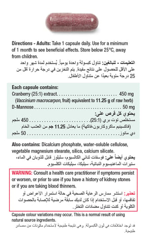 هوليستا كوركومين 1260 مجم مستخلص الكركم 120 قطعة حلوي