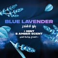 أكس م ديو أيرو لافندر أزرق 24x150مل