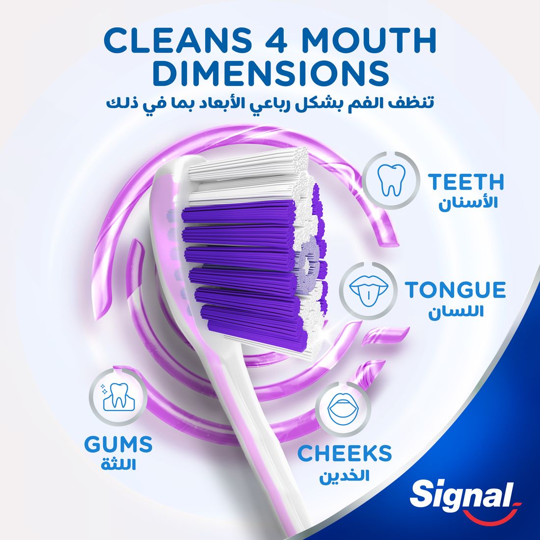Signal Tb 4D Sensitive Extra Soft  2Pcs
