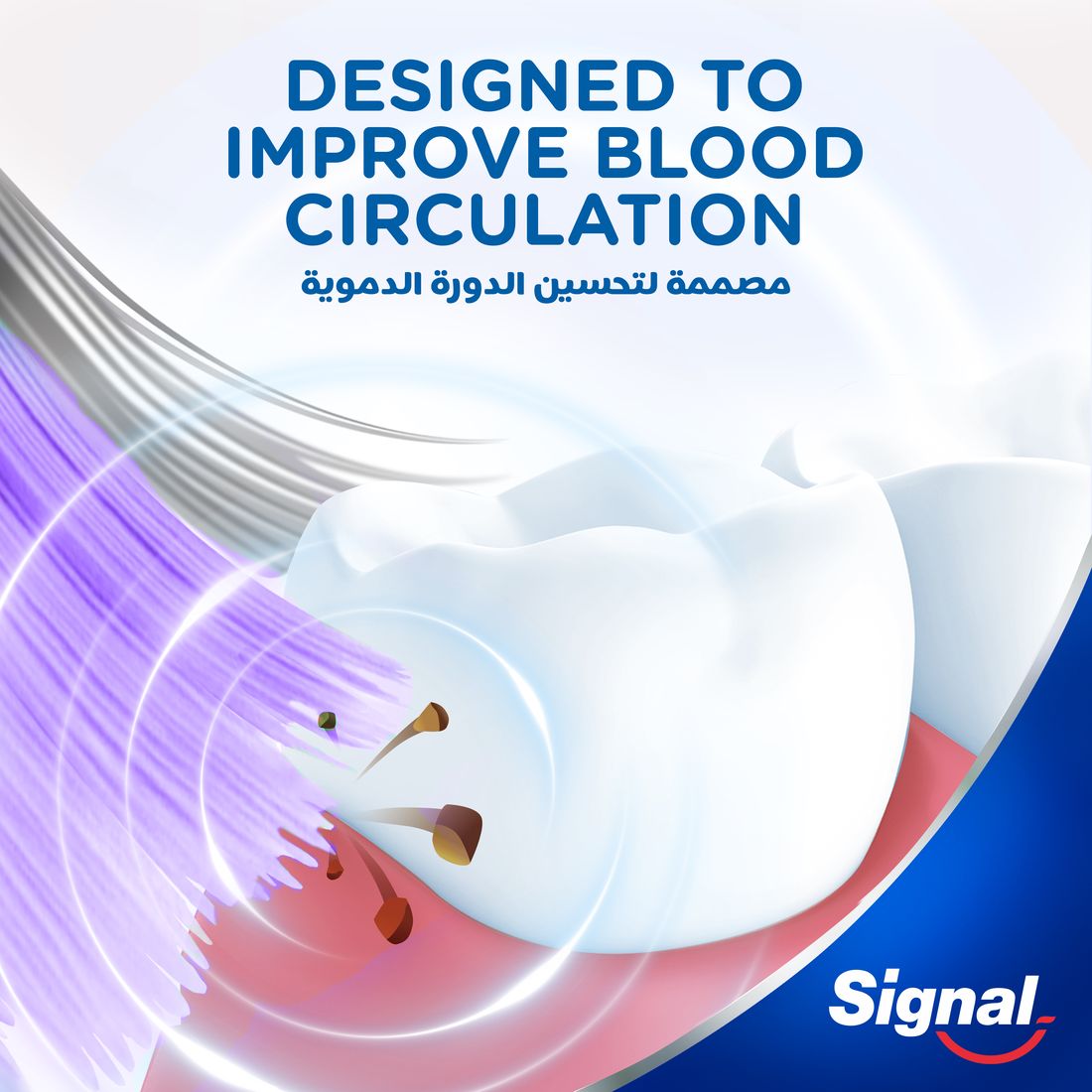 Signal Tb 4D Sensitive Extra Soft  2Pcs