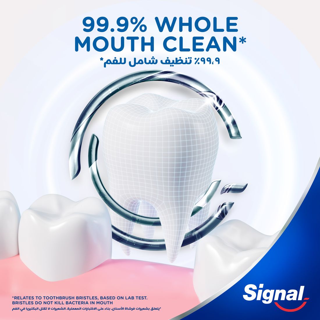 Signal Tb 4D Antibac Soft  2Pcs