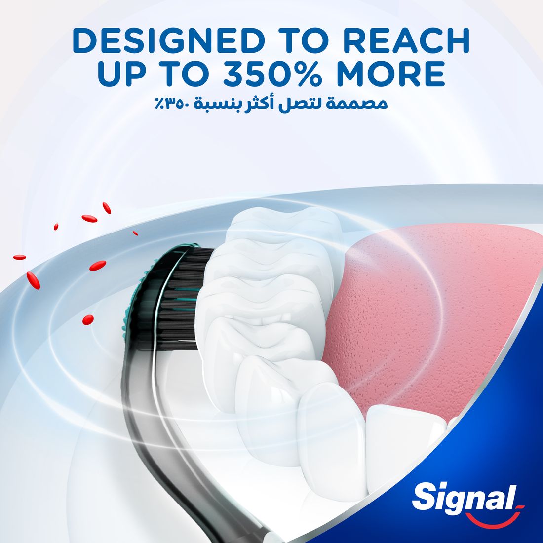 Signal Tb 4D Antibac Soft  2Pcs