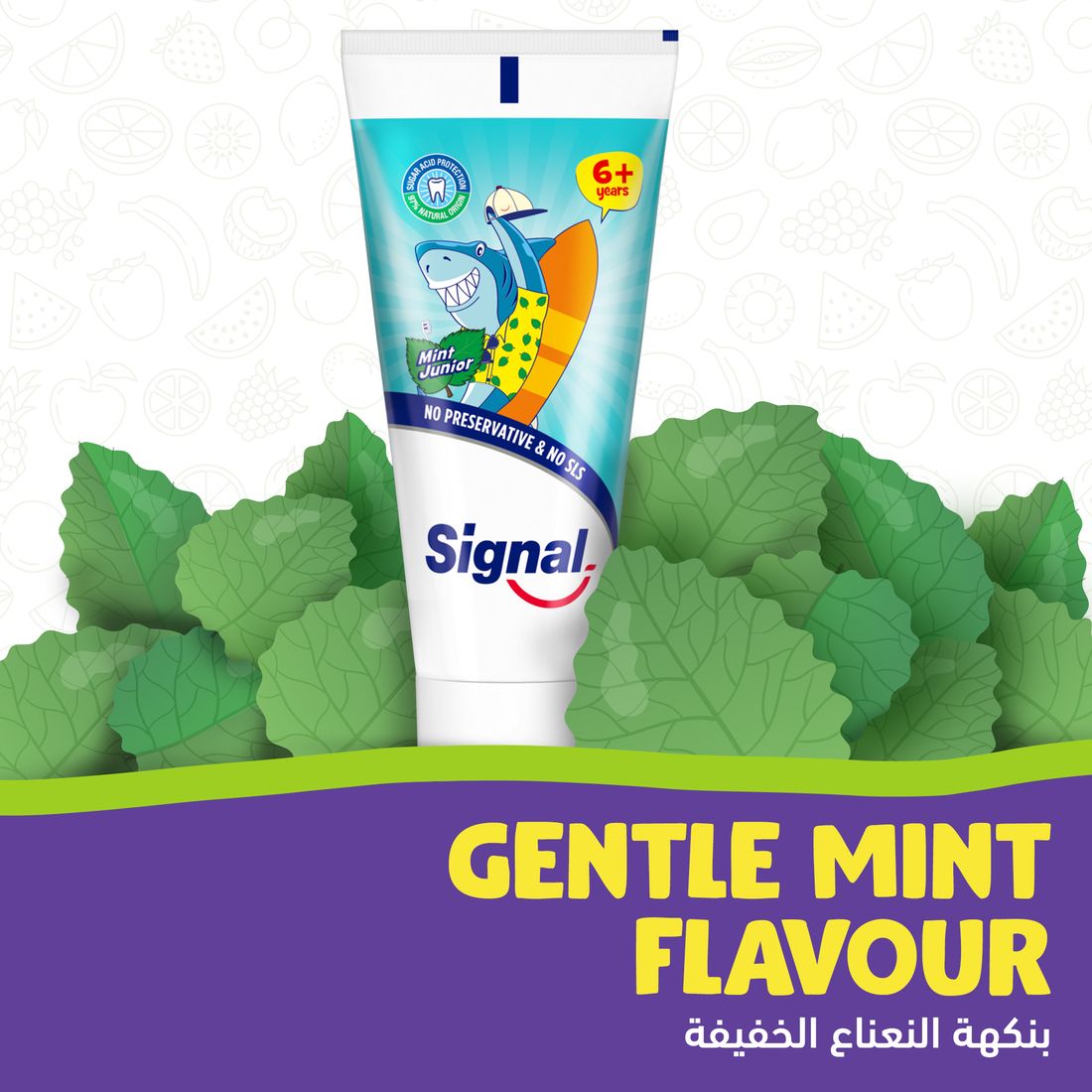 Signal Tp Kids Mint Junior 50Ml
