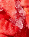 Lip Balm - Watermelon