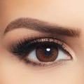 Layala Daily Color Contact Lens - Brown