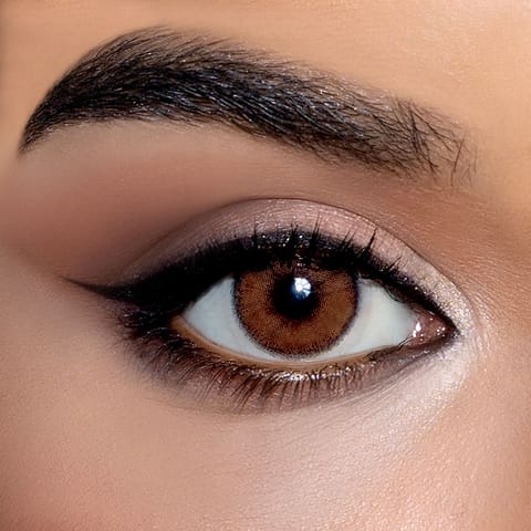 Layala Color Lens - Brown Avena