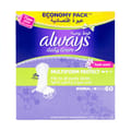AlwaysPntlnr NrmlFrsh  8*60