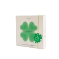 Donggubat Lucky Clover Shower Bar Set (face & body)
