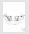 EVE Earrings Silver - S 1021 Ear Ring