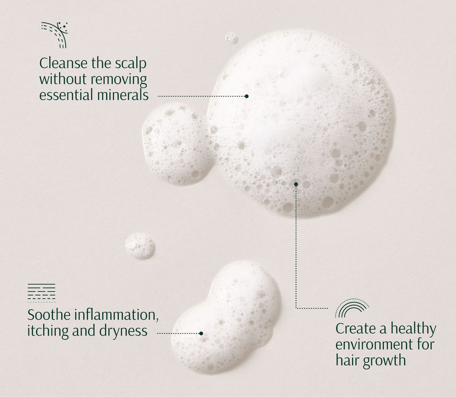 تارا شامبو البصل والببتيدات لتكثيف الشعر 267 مل