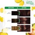 Hair Color Color Naturals 6.7 Chocolate Brown