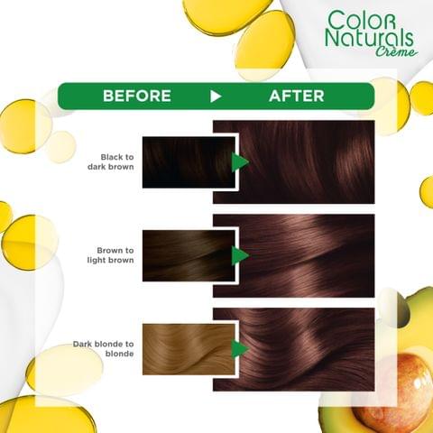 Excellence Crème Permanent Hair Color, 7.7 Honey Brown